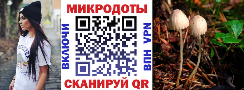 Галлюциногенные грибы мицелий  Приволжск 